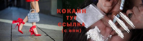 хмурый Абаза
