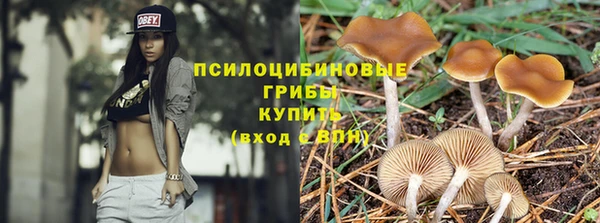 скорость Алексин