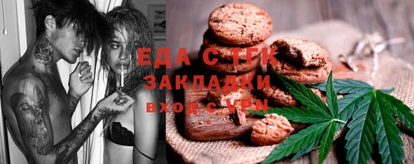 хмурый Абаза