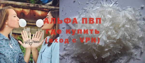 хмурый Абаза