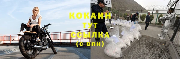 стаф Абинск