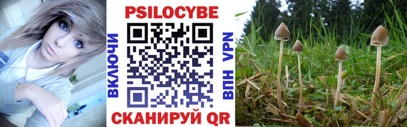 где можно купить наркотик  Донецк  Галлюциногенные грибы Psilocybe 